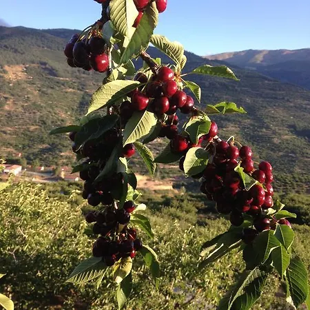 El Cerrillo Διαμέρισμα Navaconcejo