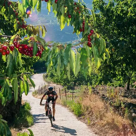Apartment El Cerrillo Navaconcejo