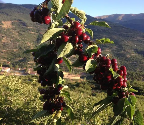 El Cerrillo Апартаменты Наваконсехо