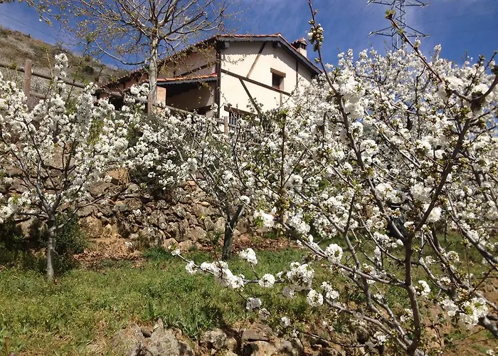 Апартаменты El Cerrillo *