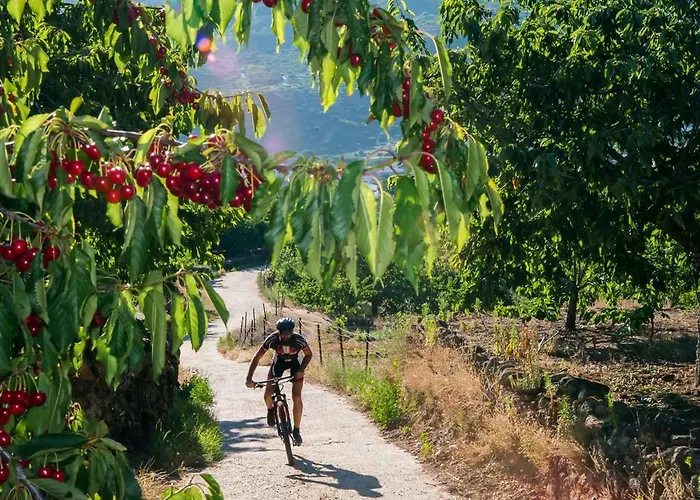 דירה El Cerrillo נבאקונסחו